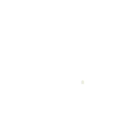YouTube Logo inside a white circle
