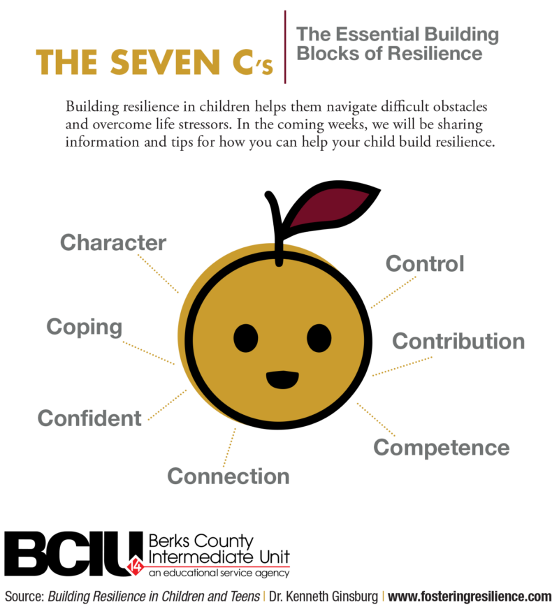 The Seven Cs - Character, Coping, Confident, Connection, Control, Contribution, Competence
